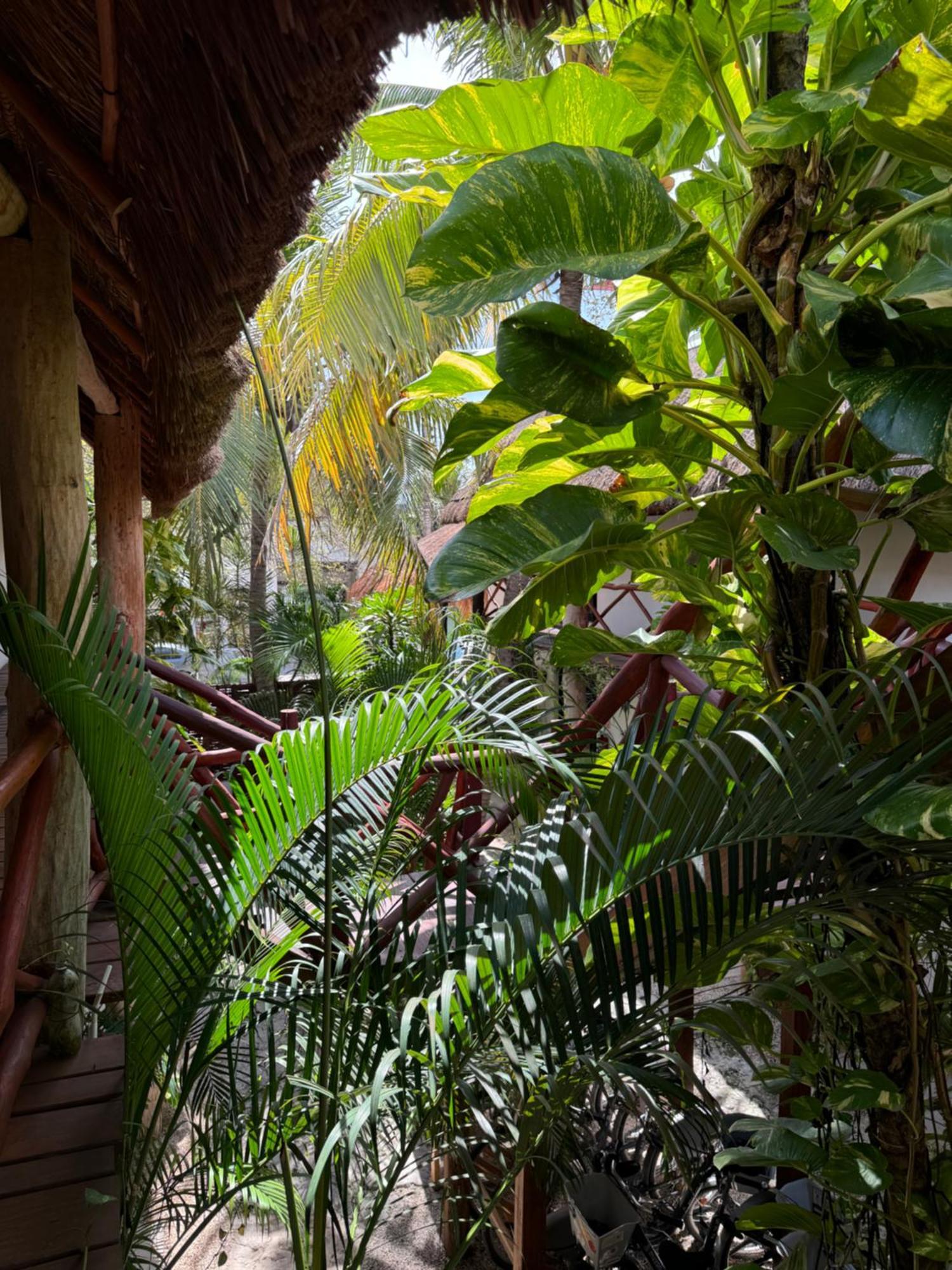 Kin Ha Tulum Hotel Extérieur photo