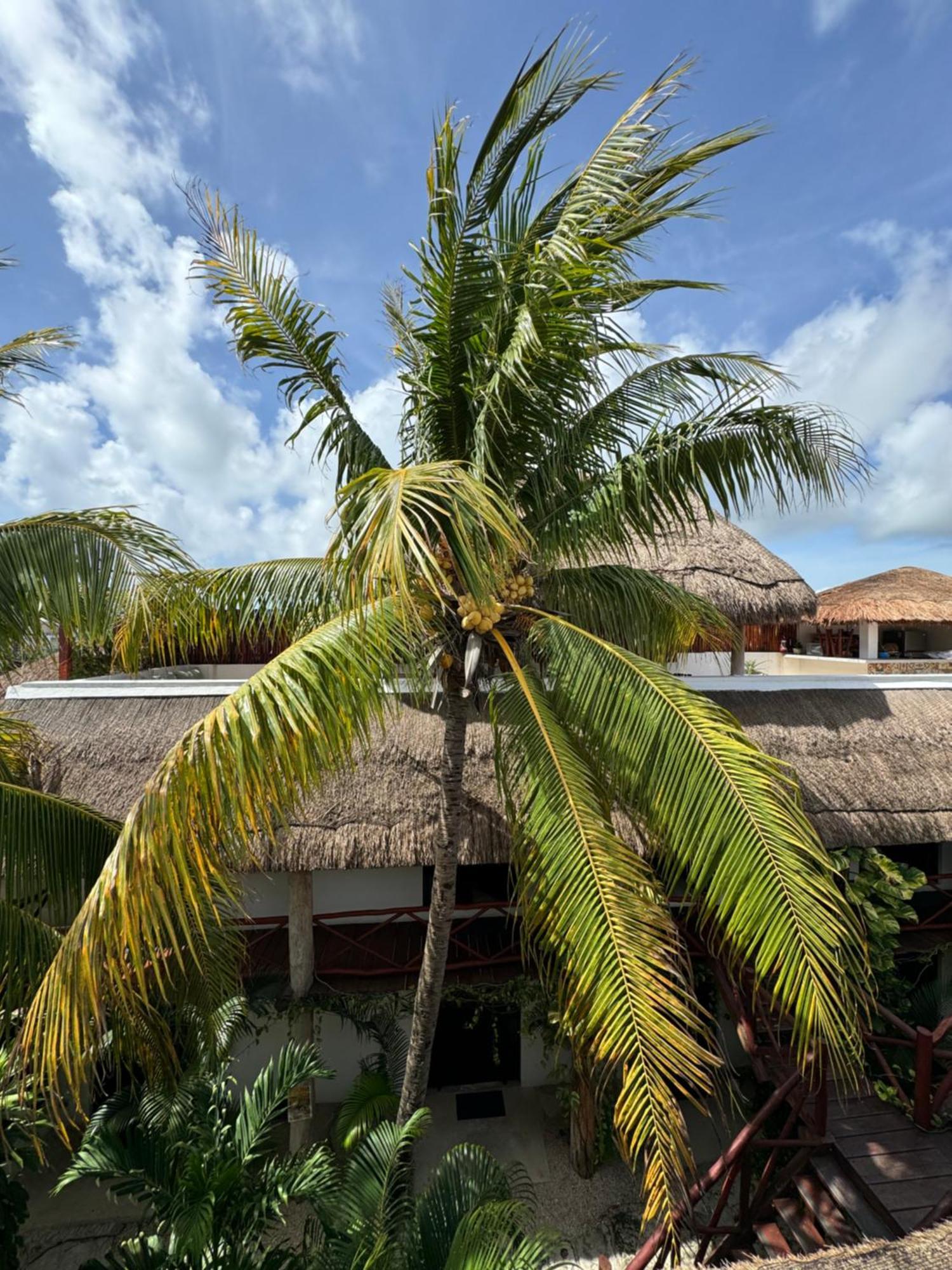 Kin Ha Tulum Hotel Extérieur photo